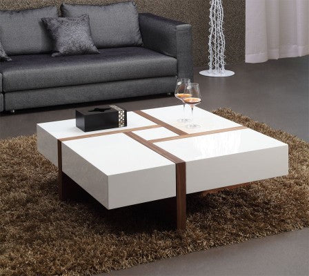 Orion Modern storage Coffee Table
