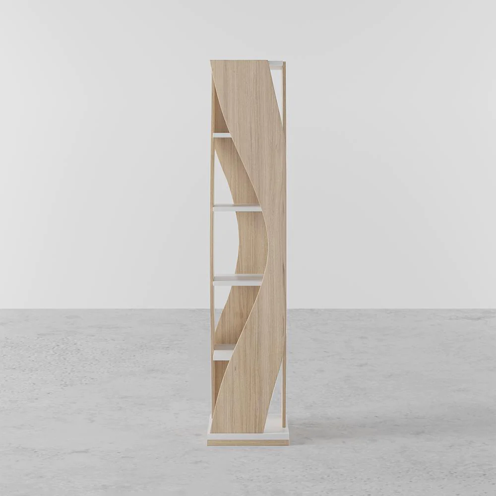 Leah Bookshelf