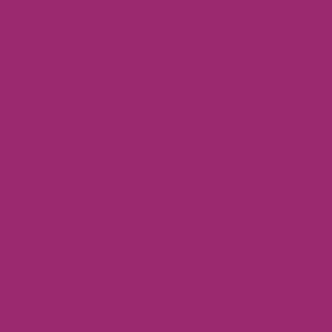 RAL | 4006 Traffic Purple