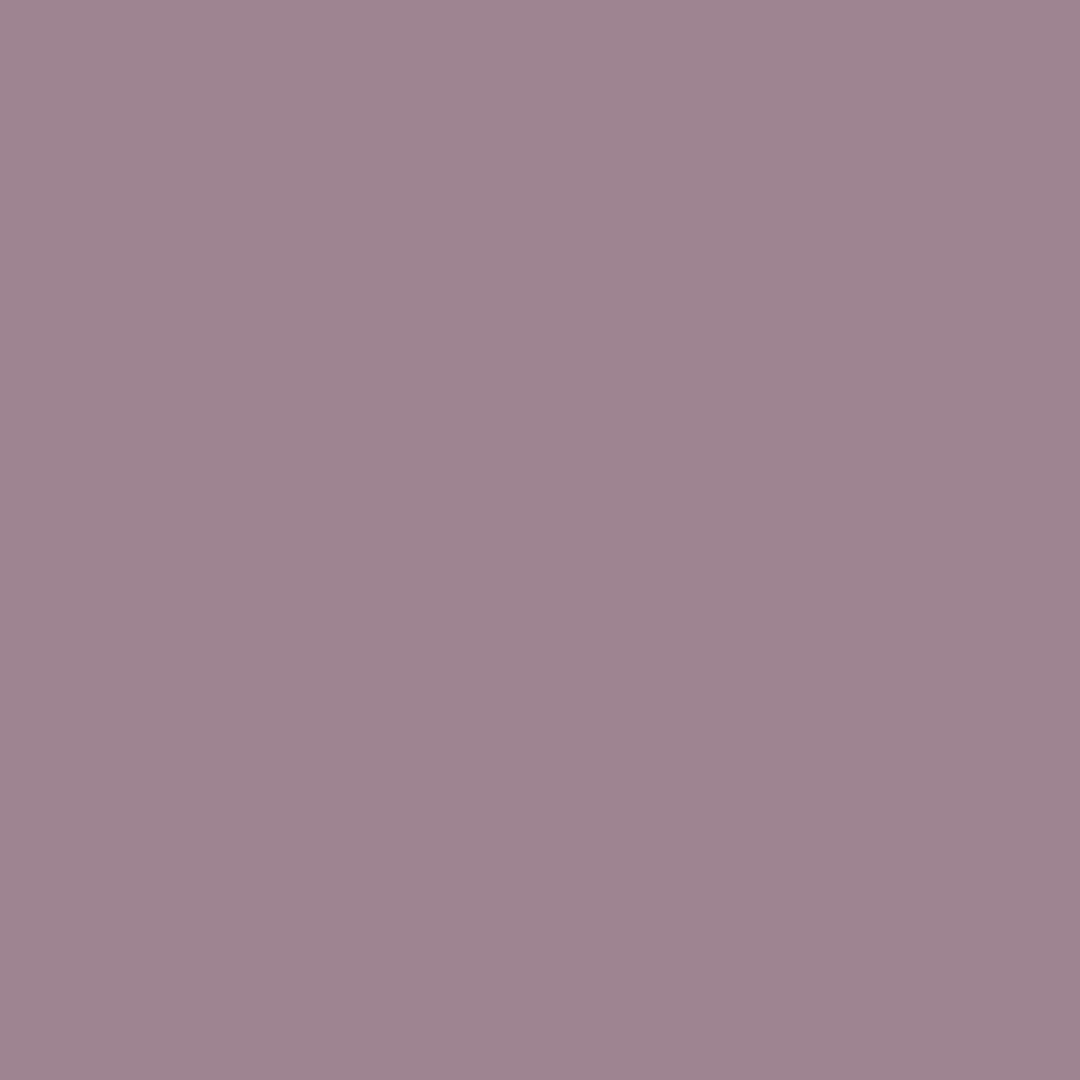 RAL | 4009 Pastel Violet