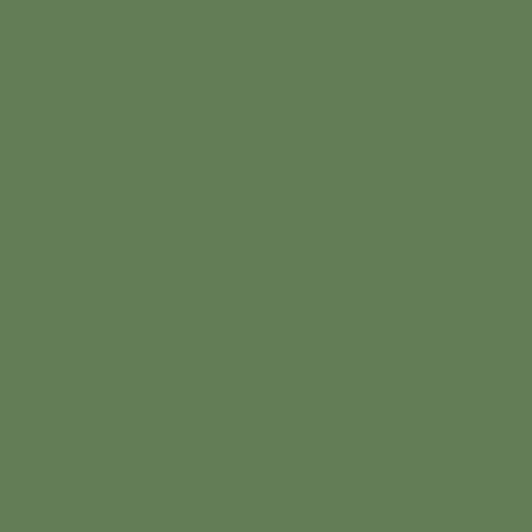RAL | 6011 Reseda Green