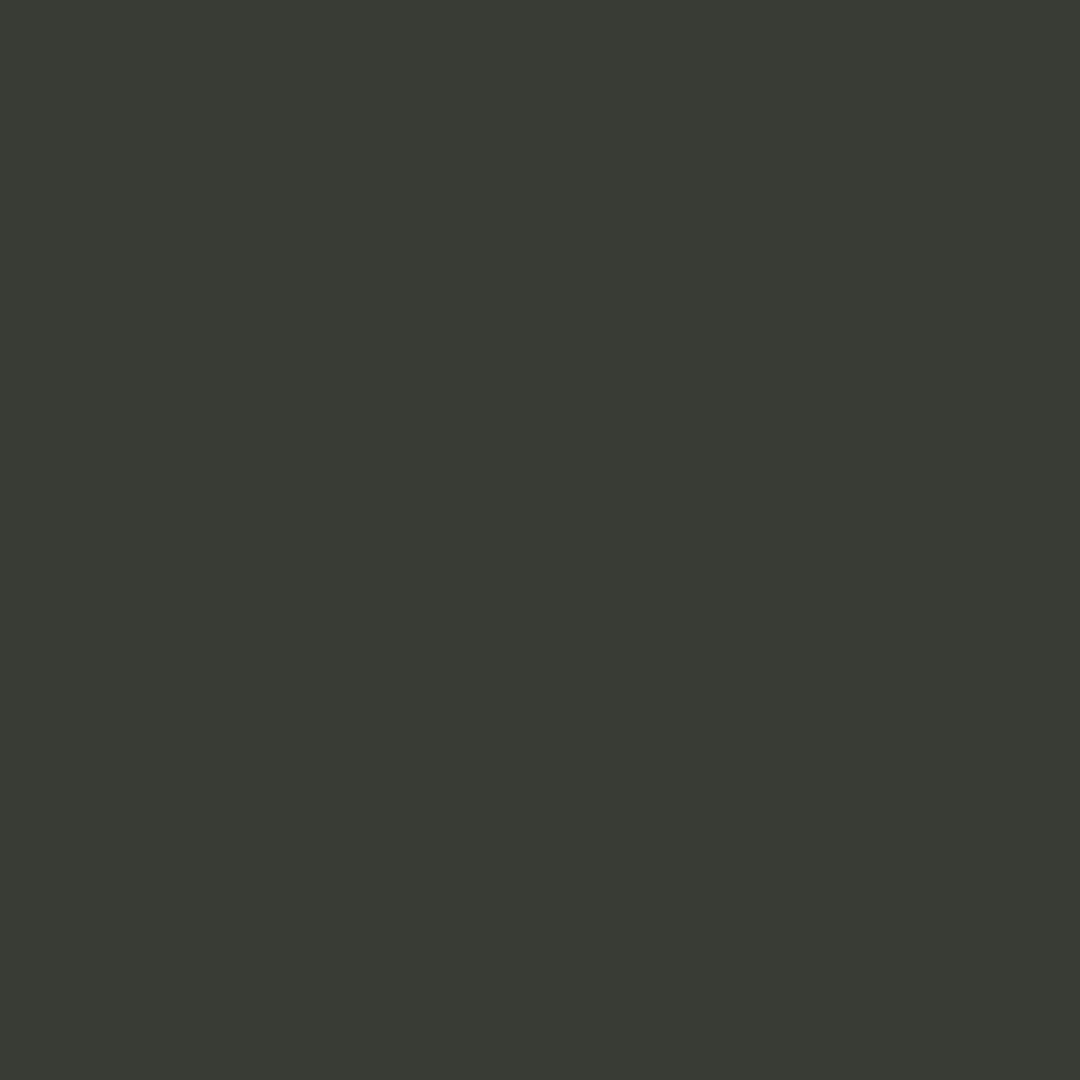 RAL | 6015 Black Olive