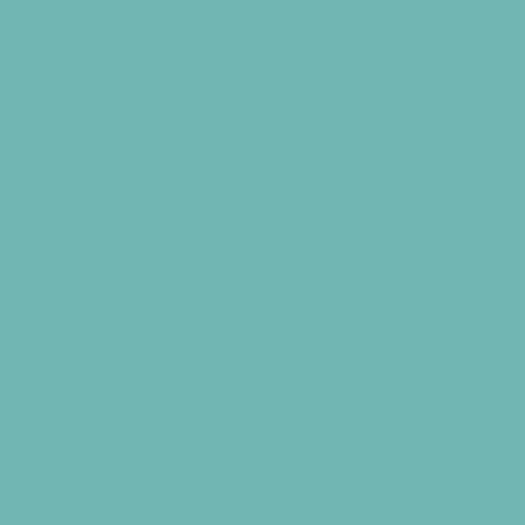 RAL | 6027 Light Green