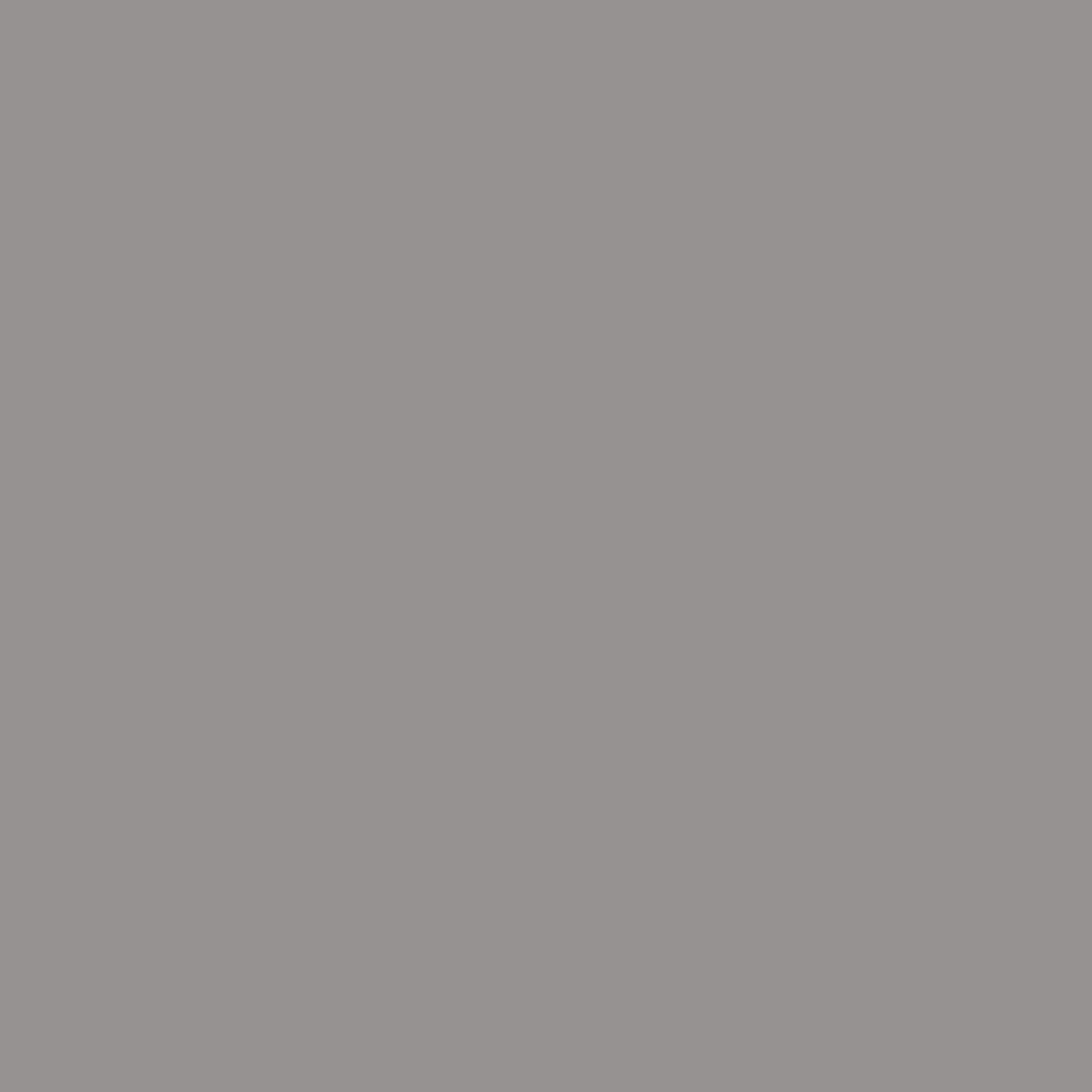 RAL | 7036 Platinum Grey