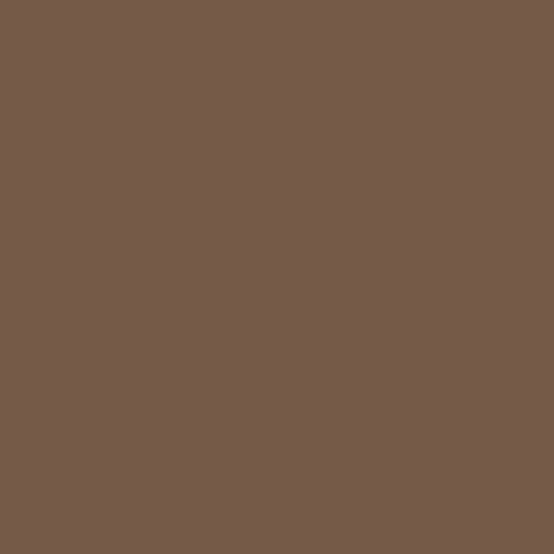 RAL | 8025 Pale Brown