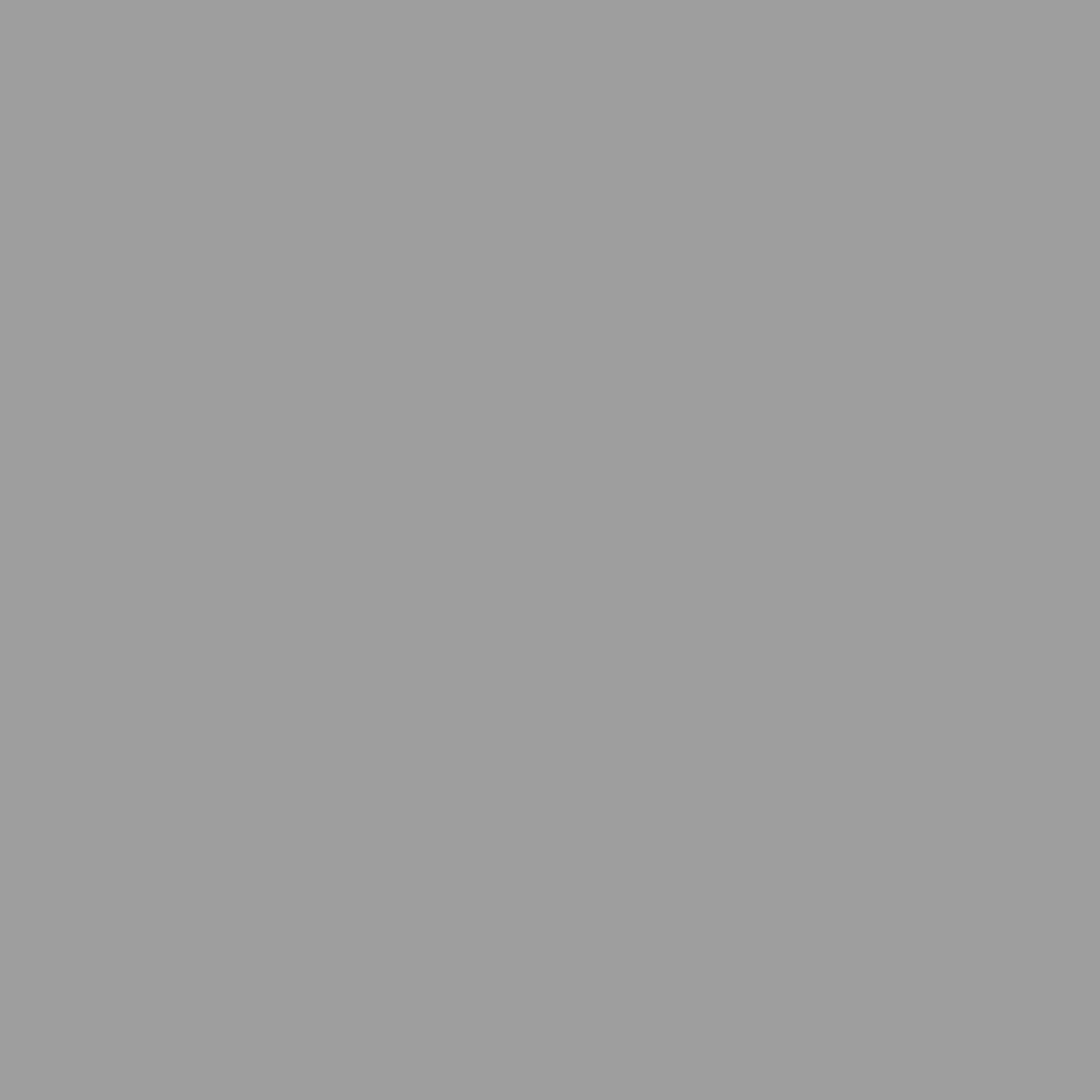RAL | 9006 White Aluminium