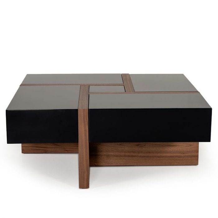 Orion Modern storage Coffee Table